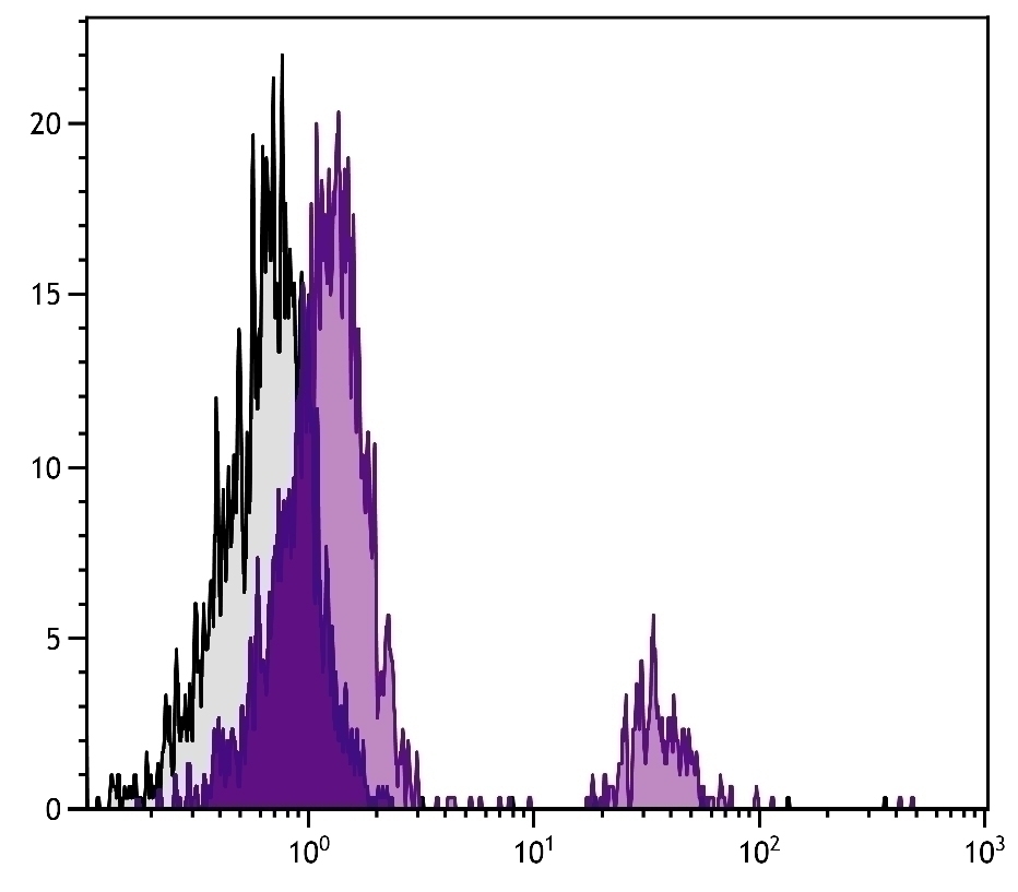 Bu-1b Antibody [5-11G2] (FITC)