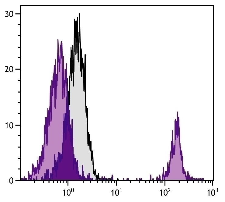 Bu-1b Antibody [5-11G2] (PE)