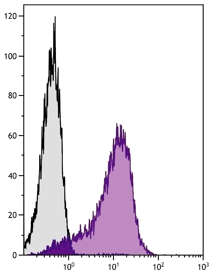 MCAM Antibody [C264]
