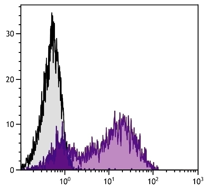 MCAM Antibody [C264] (PE)