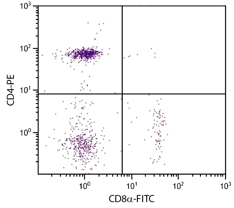 CD8a Antibody [EP72] (FITC)