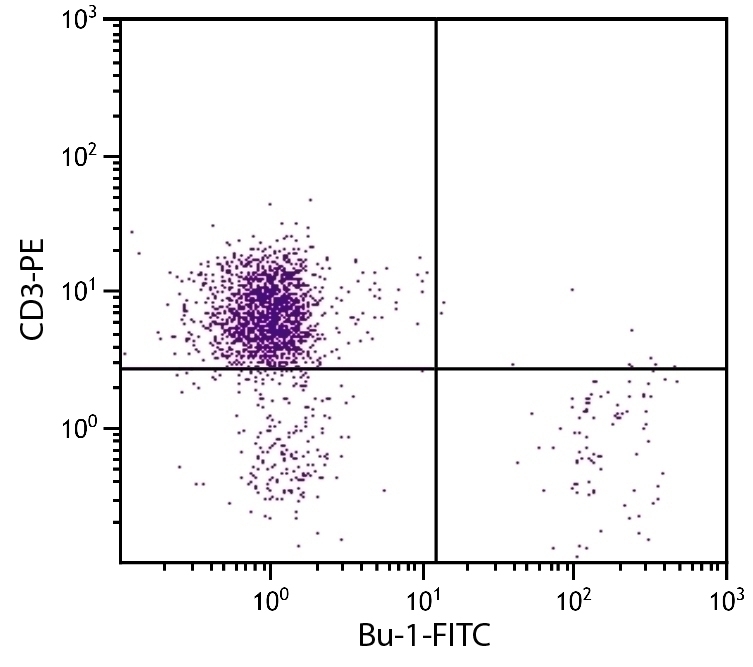 Bu-1 Antibody [AV20] (FITC)