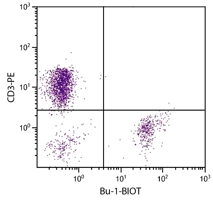 Bu-1 Antibody [AV20] (Biotin)