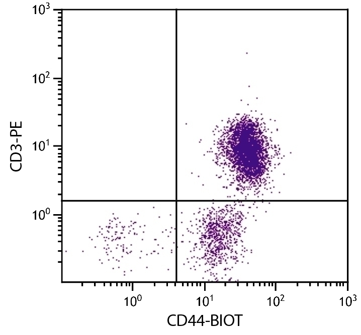 CD44 Antibody [AV6] (Biotin)