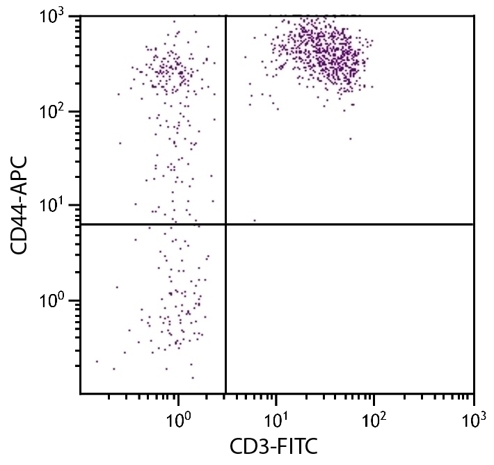 CD44 Antibody [AV6] (APC)