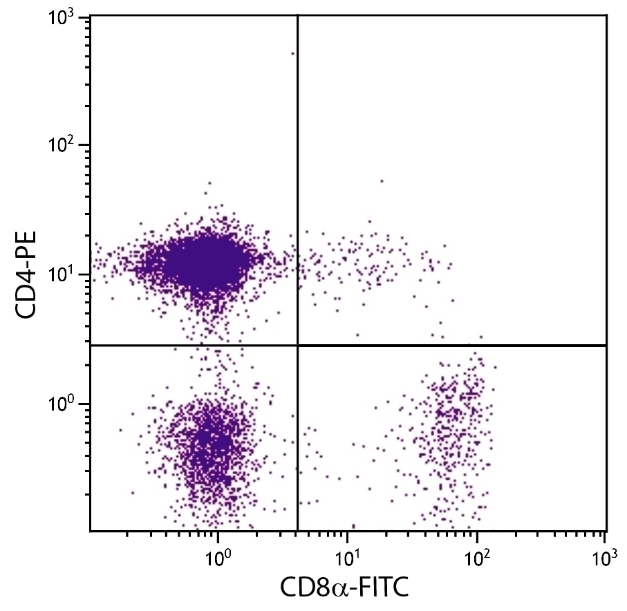 CD8a Antibody [3-298] (FITC)
