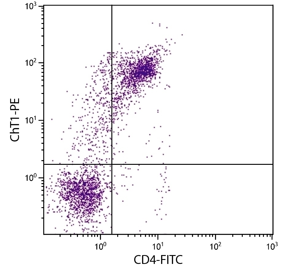 ChT1 Antibody [CT1] (PE)