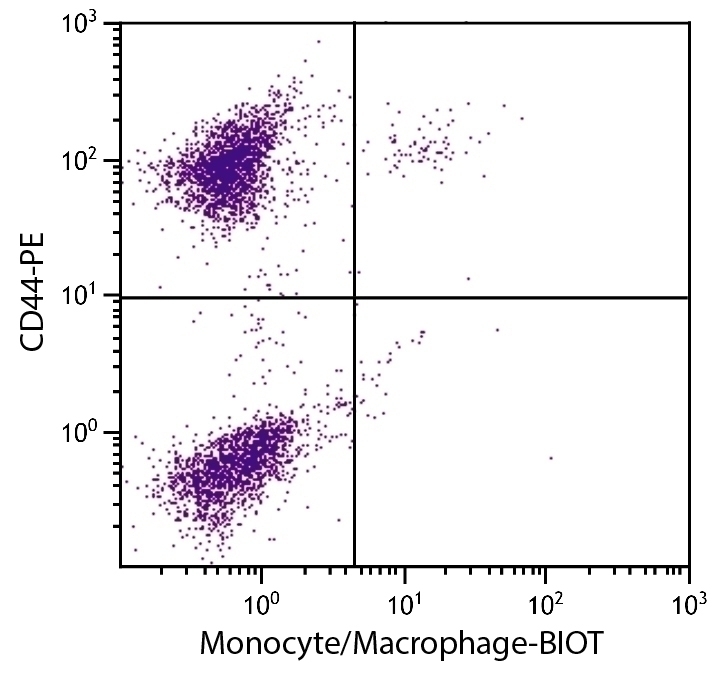 Monocyte/Macrophage Antibody [KUL01] (Biotin)