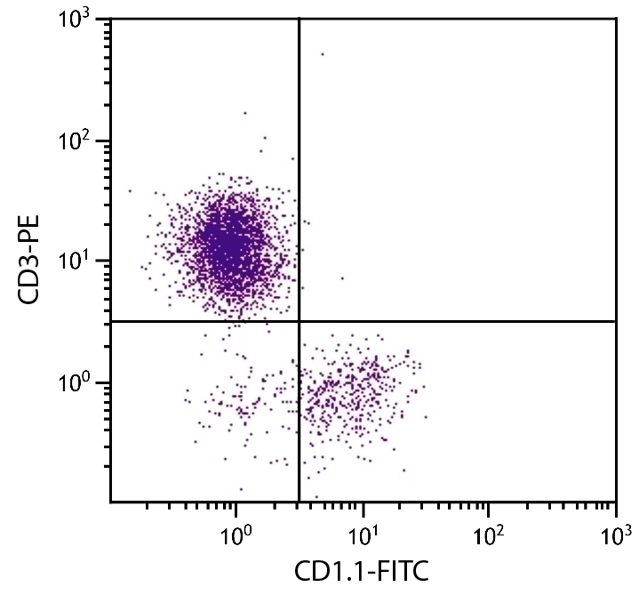 CD1.1 Antibody [CB3] (FITC)