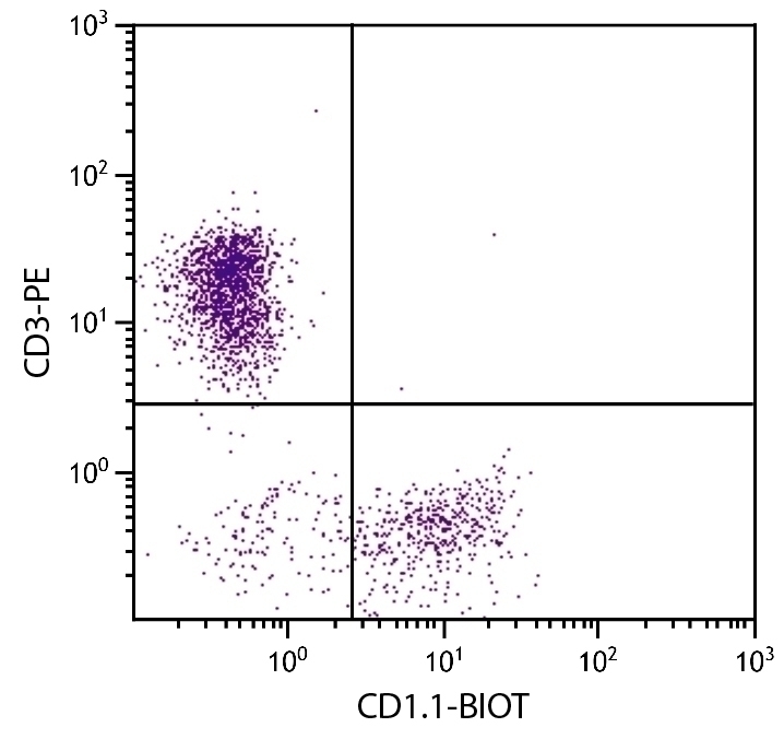 CD1.1 Antibody [CB3] (Biotin)