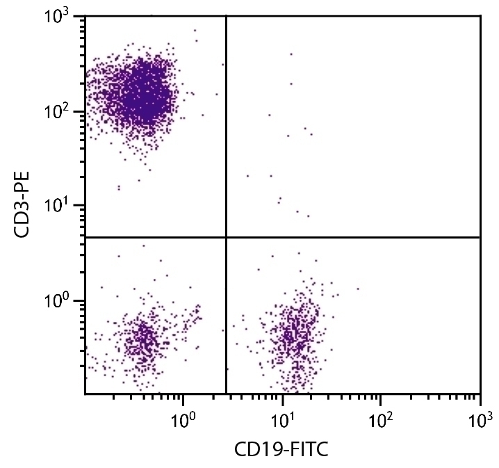 CD19 Antibody [SJ25-C1] (FITC)