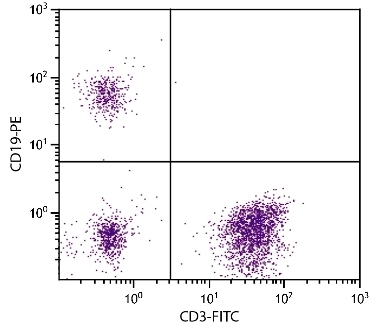 CD19 Antibody [SJ25-C1] (PE)