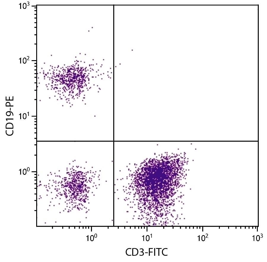 CD19 Antibody [SJ25-C1] (PE)