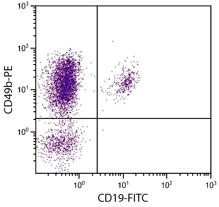 CD49d Antibody [7.2] (PE)