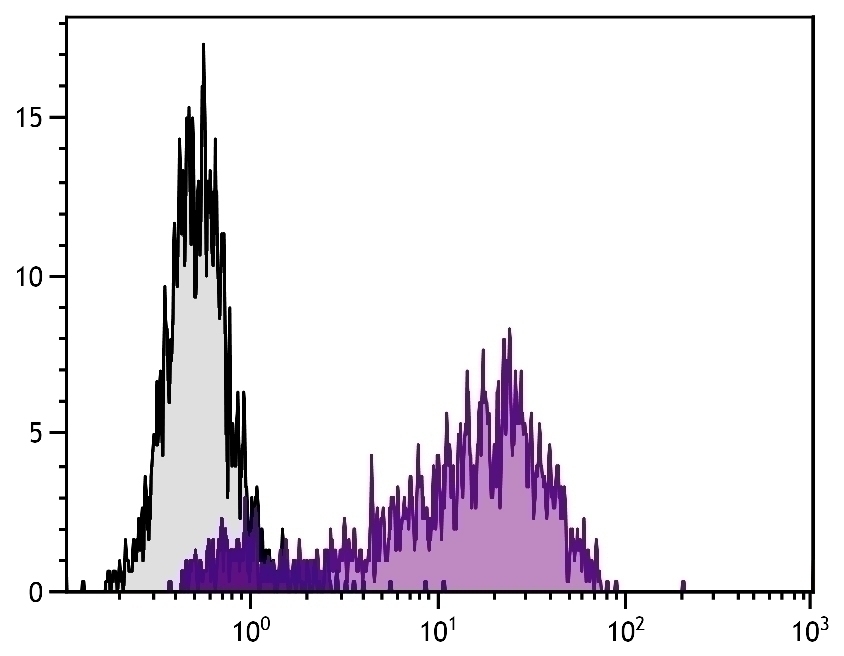 CD62E/CD62P Antibody [1.2B6] (PE)