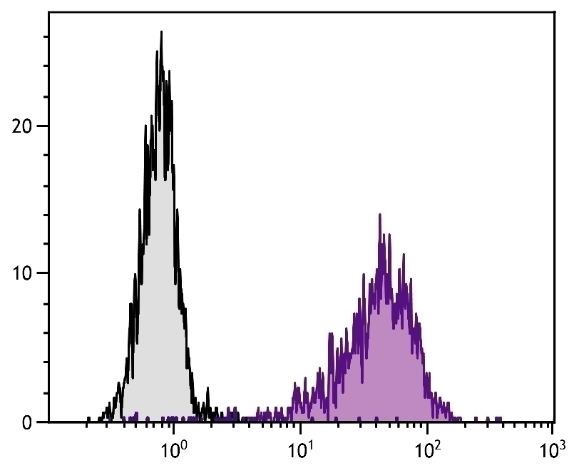CD106 Antibody [1.G11B1] (PE)