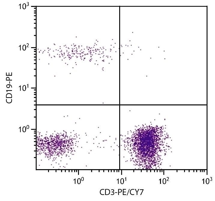 CD3 Antibody [UCHT1] (PE-Cy7)