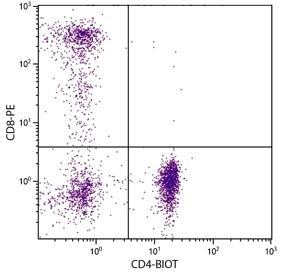 CD4 Antibody [RFT4] (Biotin)