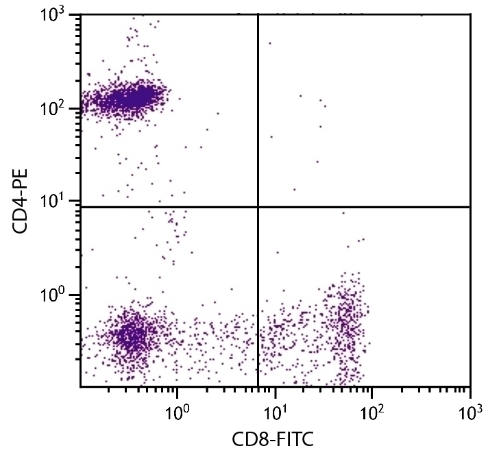 CD8 Antibody [UCHT4] (FITC)