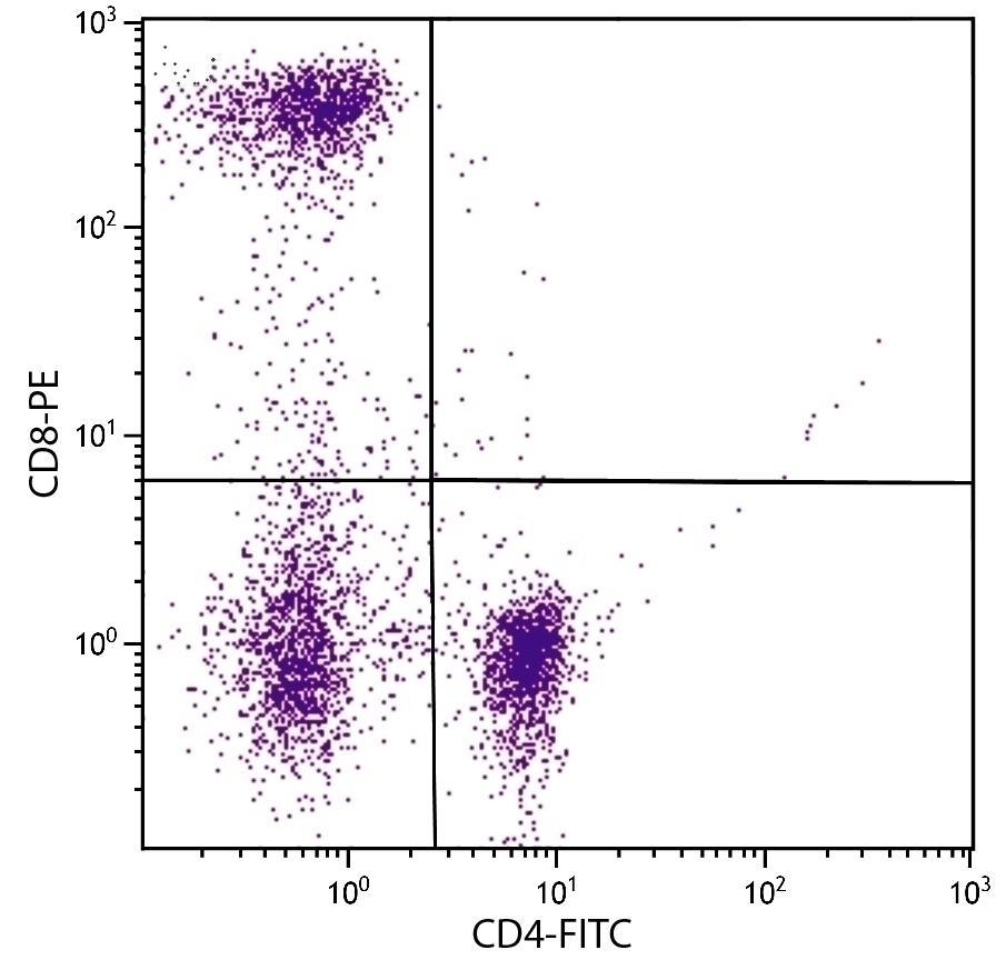 CD8 Antibody [UCHT4] (PE)