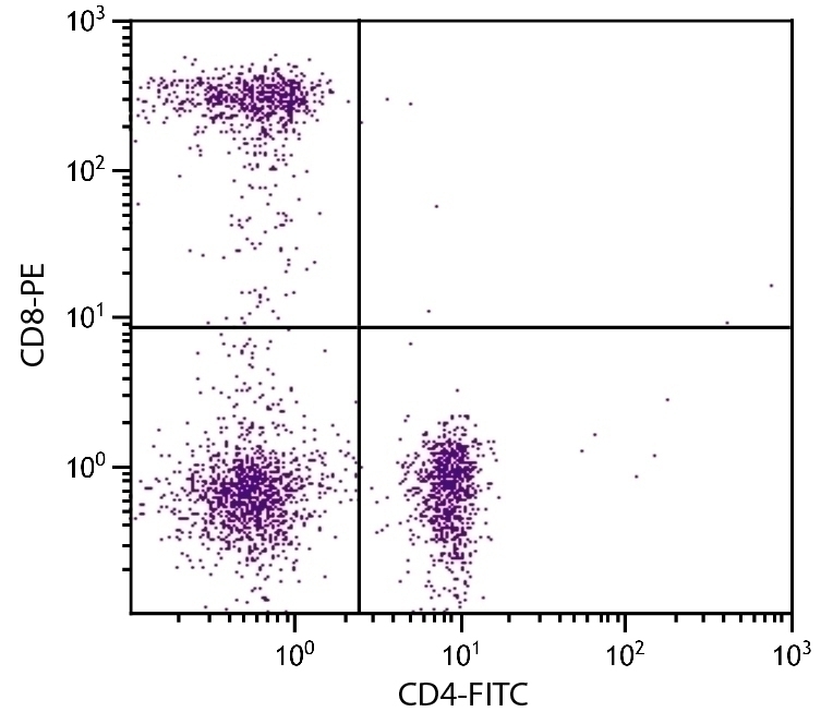 CD8 Antibody [RFT8] (PE)