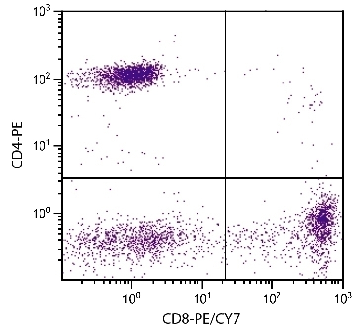 CD8 Antibody [RFT8] (PE-Cy7)