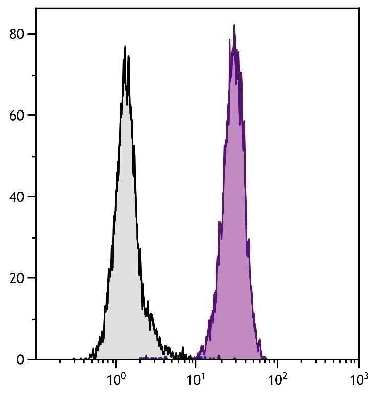 CD11b Antibody [ICRF44] (Biotin)