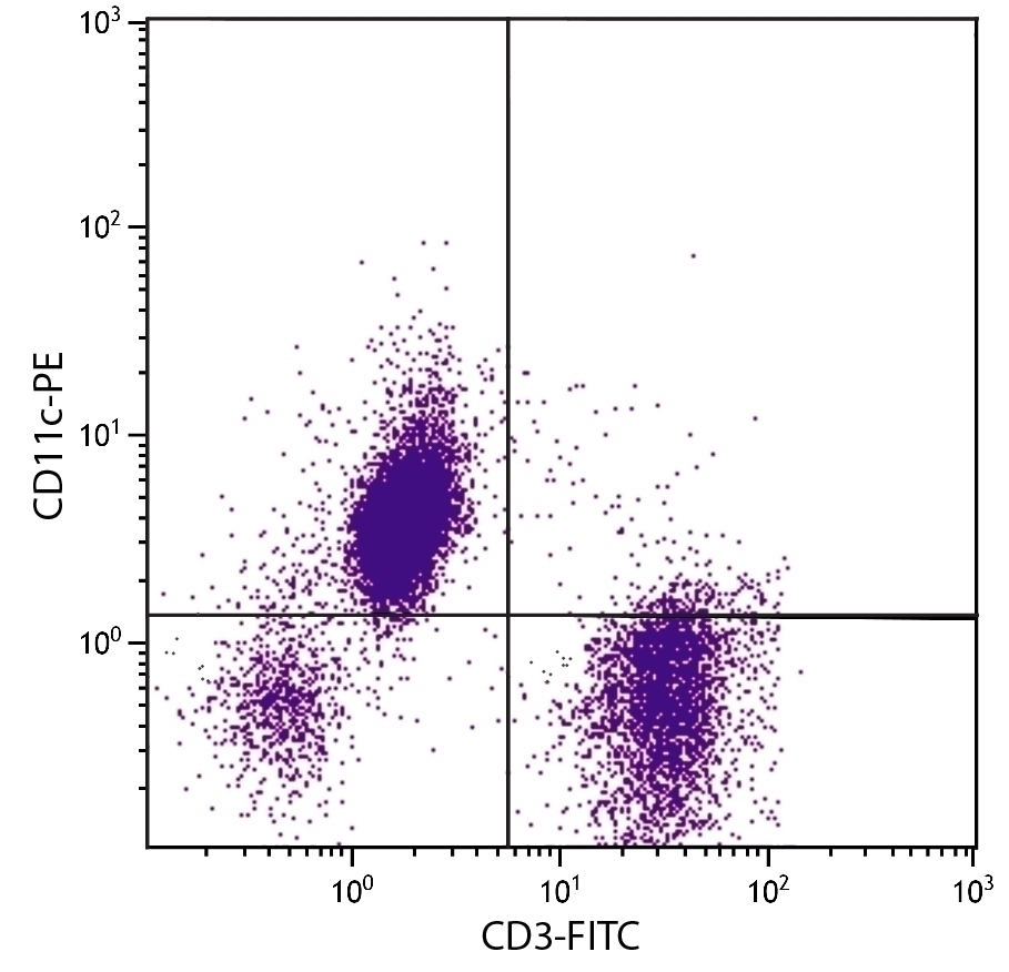 CD11c Antibody [3.9] (PE)