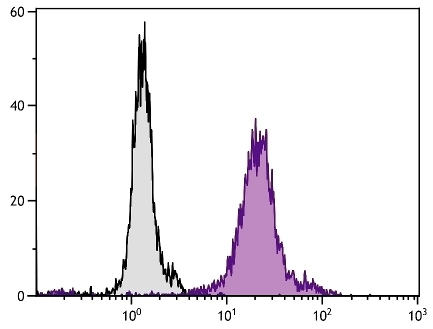 CD13 Antibody [22A5] (FITC)