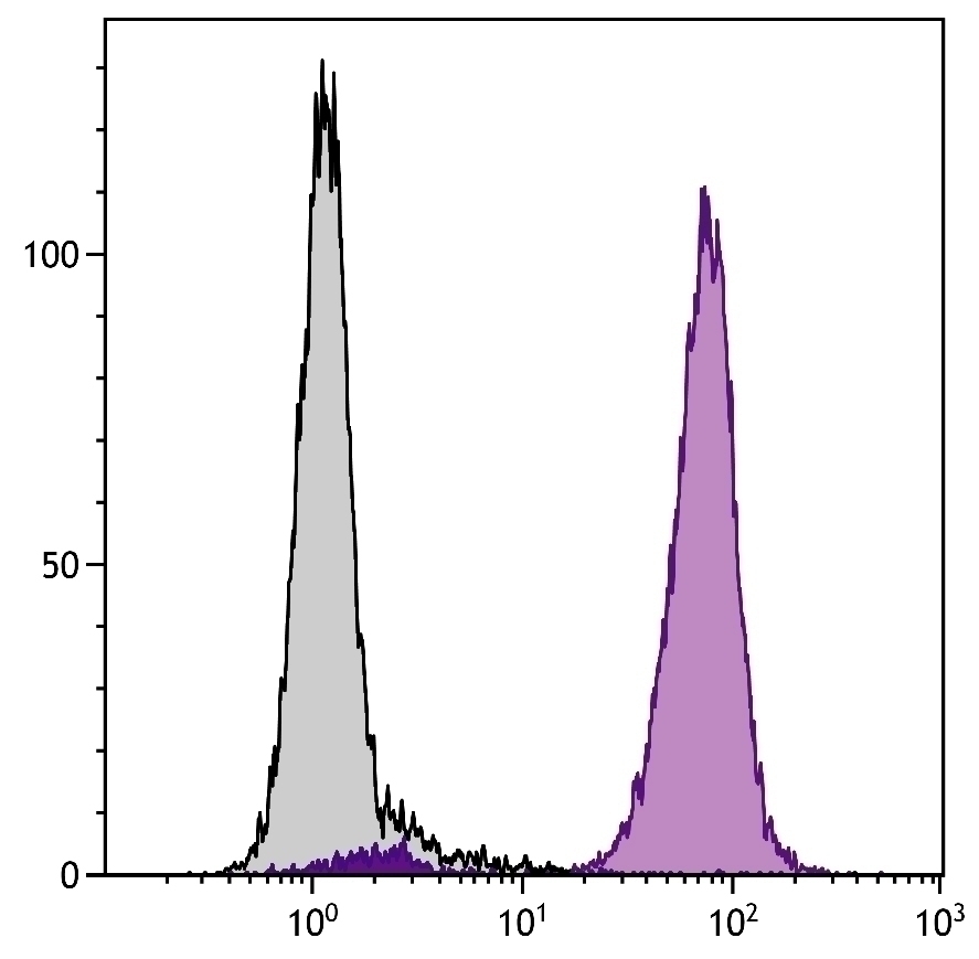 CD16 Antibody [GRM1] (PE)