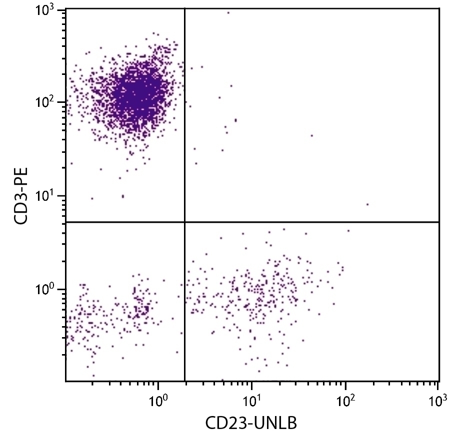CD23 Antibody [T1]