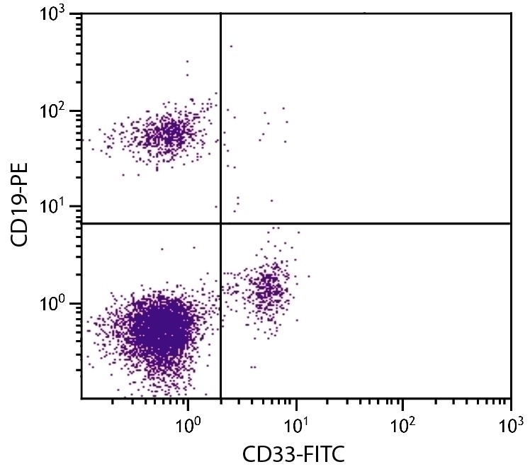 CD33 Antibody [WM53] (FITC)