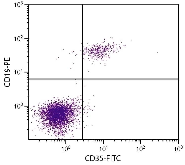 CD35 Antibody [E11] (FITC)