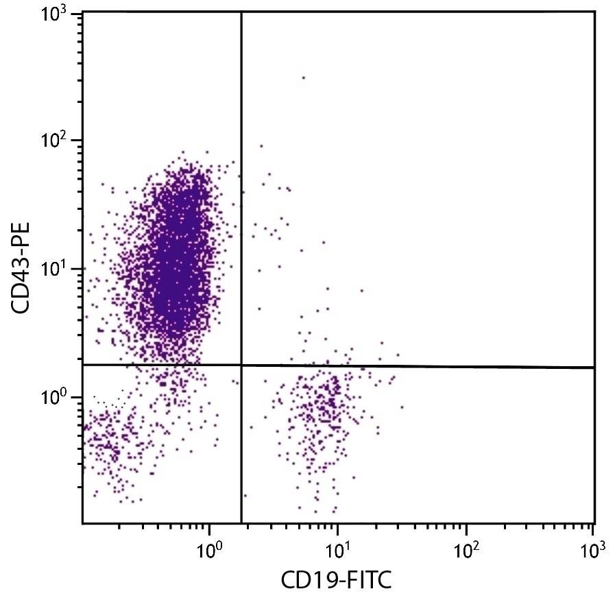 CD43 Antibody [DF-T1] (PE)