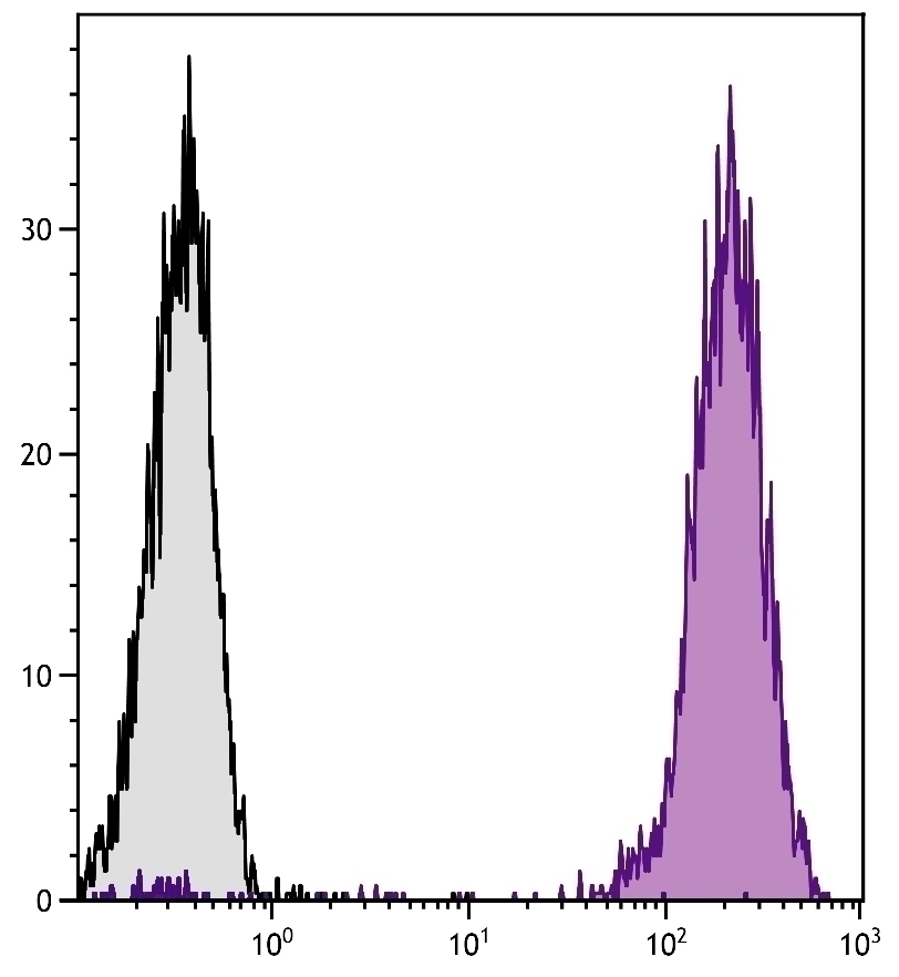 CD45 Antibody [2D1] (PE)