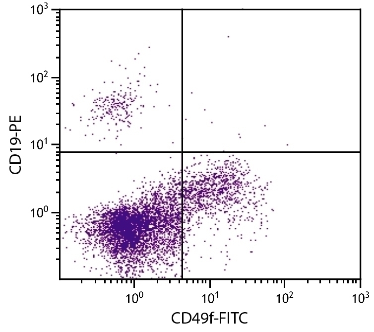 CD49f Antibody [4F10] (FITC)