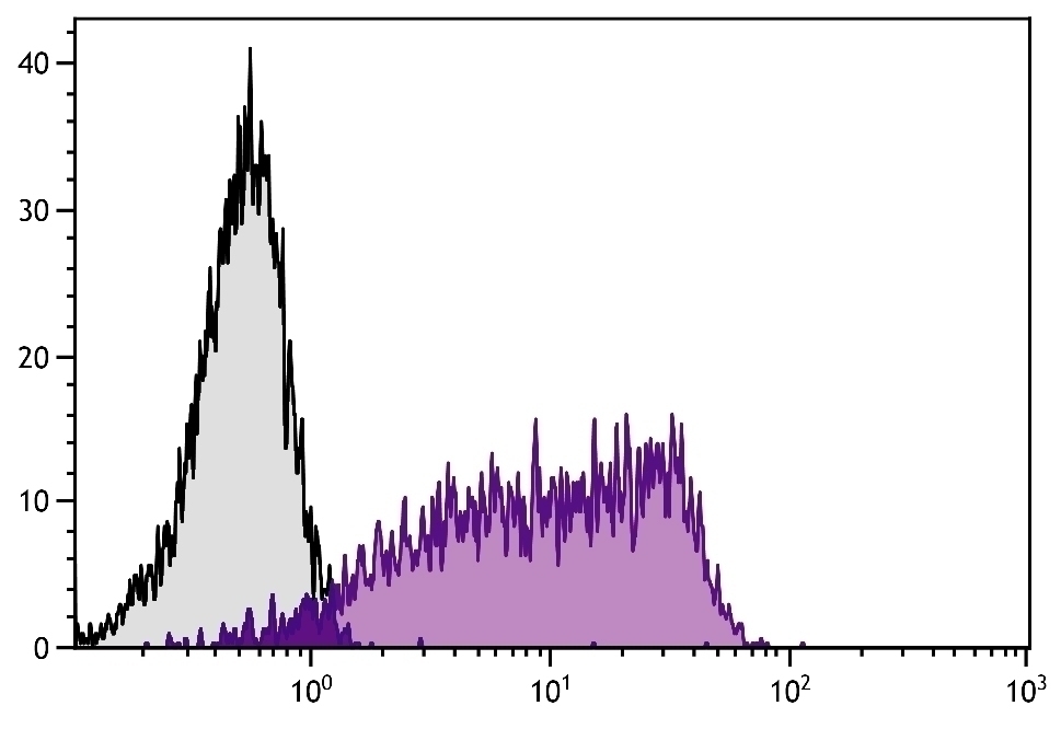 CD55 Antibody [143-30] (PE)