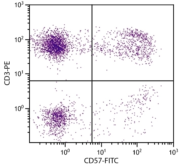 CD57 Antibody [NK-1] (FITC)