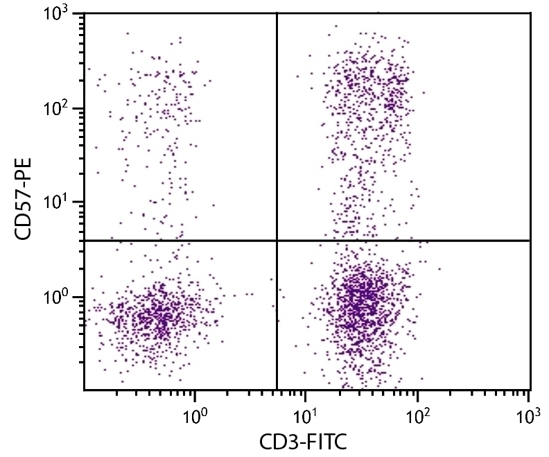 CD57 Antibody [NK-1] (PE)