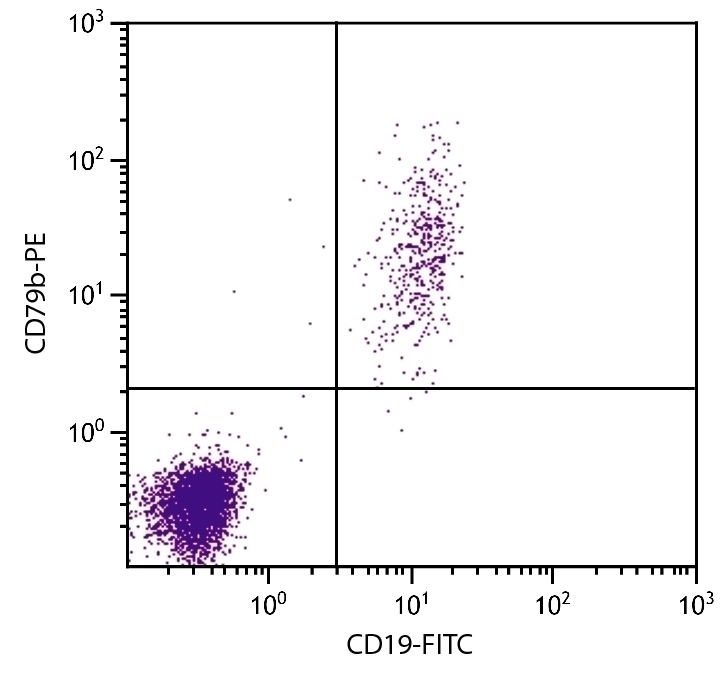 CD79b Antibody [CB3-1] (PE)
