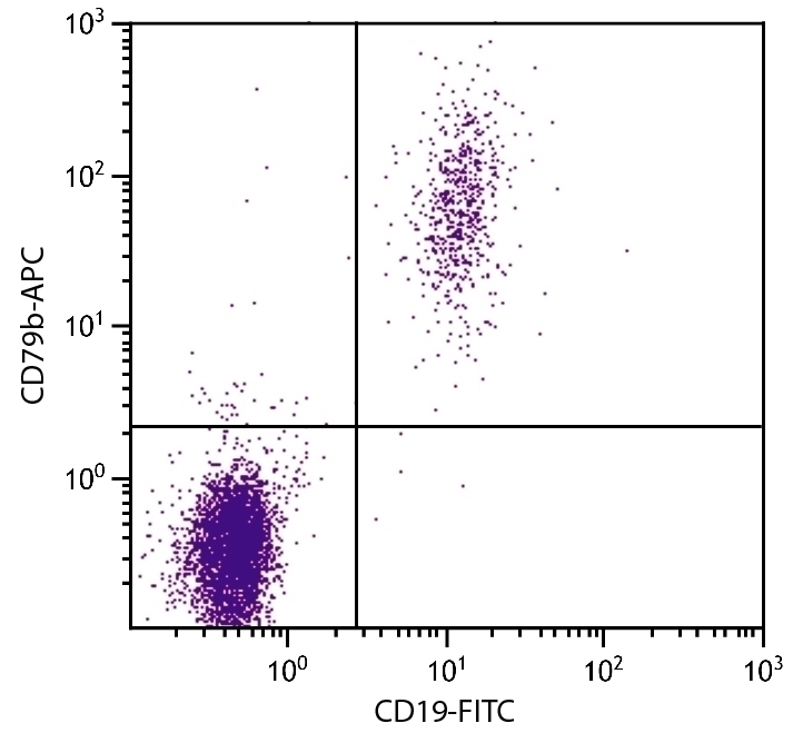 CD79b Antibody [CB3-1] (APC)