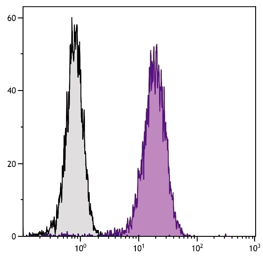 CD107b Antibody [H4B4]