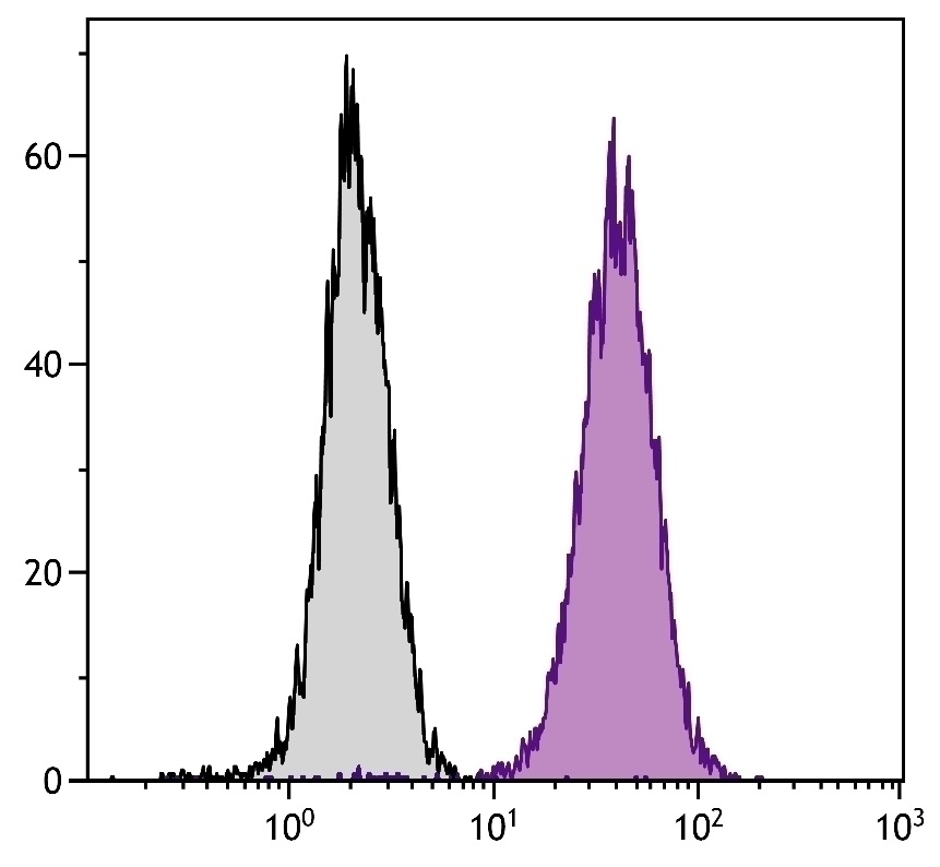 CD107b Antibody [H4B4] (PE)