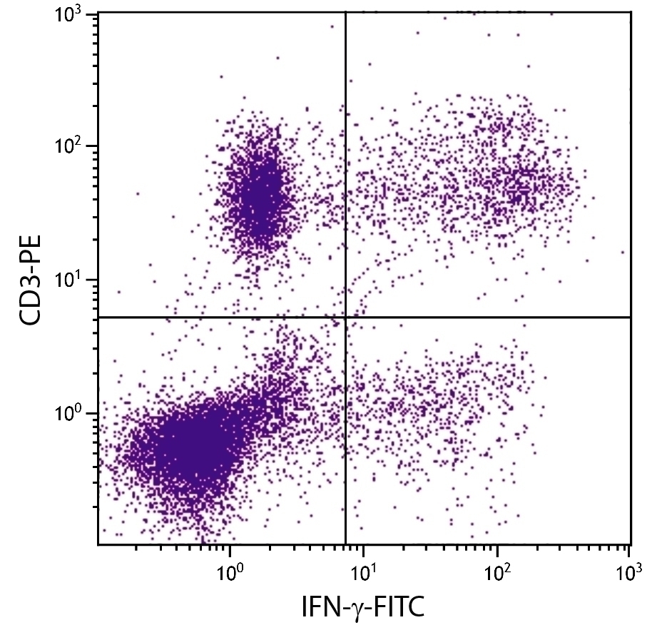 IFN-gamma Antibody [B27] (FITC)