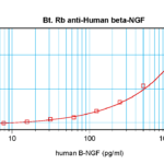 To detect Human -beta-NGF by sandwich ELISA (using 100 ul/well antibody solution) a concentration of 0.25 – 1.0 ug/ml of this antibody is required. This biotinylated polyclonal antibody, in conjunction with ProSci’s Polyclonal Anti-Human -beta-NGF (XP-5110) as a capture antibody, allows the detection of at least 0.2 – 0.4 ng/well of recombinant Human -beta-NGF.