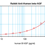 To detect Human -beta-NGF by sandwich ELISA (using 100 ul/well antibody solution) a concentration of 0.5 - 2.0 ug/ml of this antibody is required. This antigen affinity purified antibody, in conjunction with ProSci’s Biotinylated Anti-Human -beta-NGF (XP-5110Bt) as a detection antibody, allows the detection of at least 0.2 - 0.4 ng/well of recombinant Human -beta-NGF.