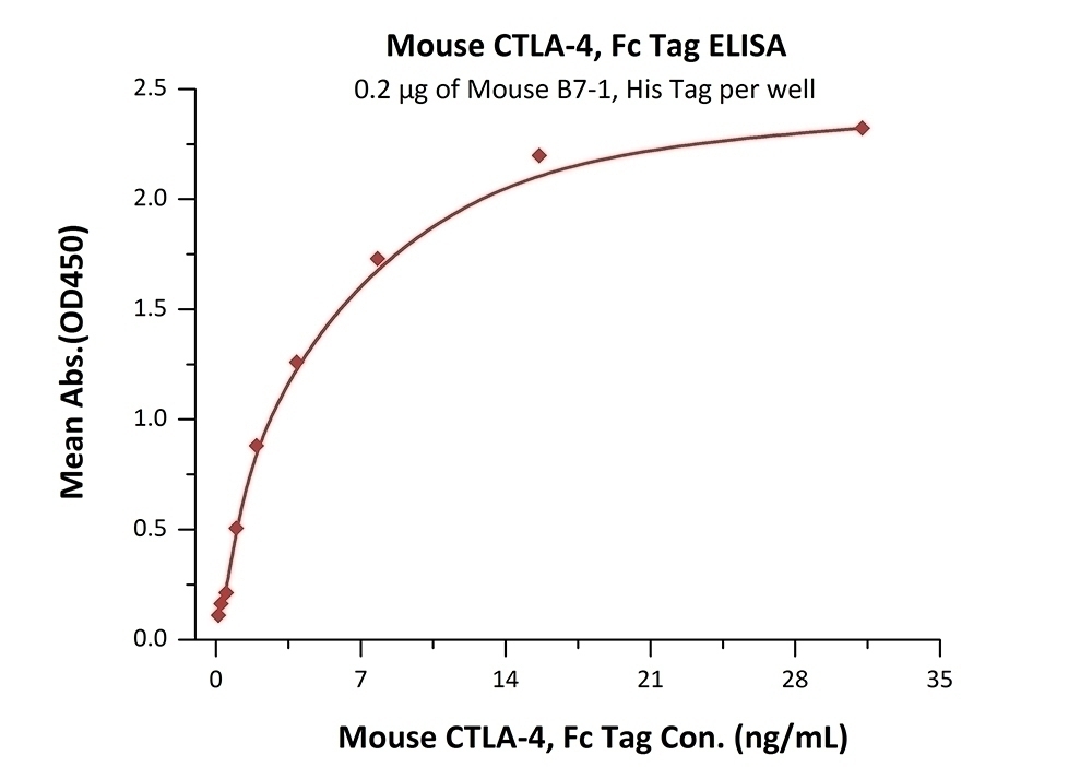 B7-1 Recombinant Protein