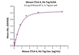 B7-1 Recombinant Protein