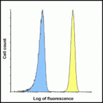 Flow cytometry analysis of B7-H3 in HEK293 cells using B7-H3 antibody at 1 μg/ml. Blue: untransfected HEK293 cells. Yellow: B7-H3 over expressing HEK293 cells.