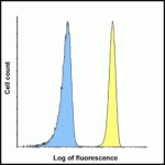 Flow cytometry analysis of B7-H3 in HEK293 cells using B7-H3 antibody at 1 μg/ml. Blue: untransfected HEK293 cells. Yellow: B7-H3 over expressing HEK293 cells.